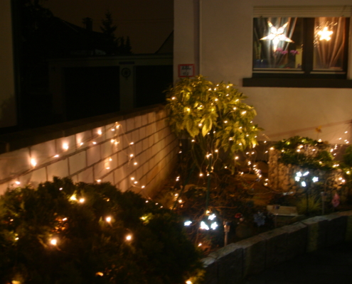 Das hintere Beet des Weihnachtshaus Neureut 2013